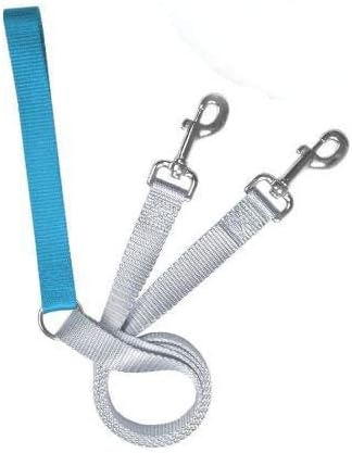 2 Hounds Design Freedom No Pull 1 Inch Training Leash ONLY Works with No Pull Harnesses (Turquoise)