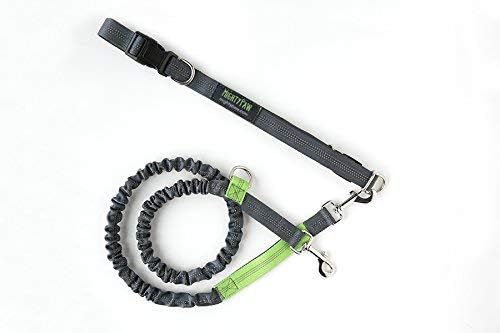 Mighty Paw Hands Free Dog Leash | Bungee Waist Leash for Dog Walking. Pet Running Hands Free Tether for Large, Medium & Small Breeds. Pet Waist Belt (36" - 48") Up to 150 lbs - Gray