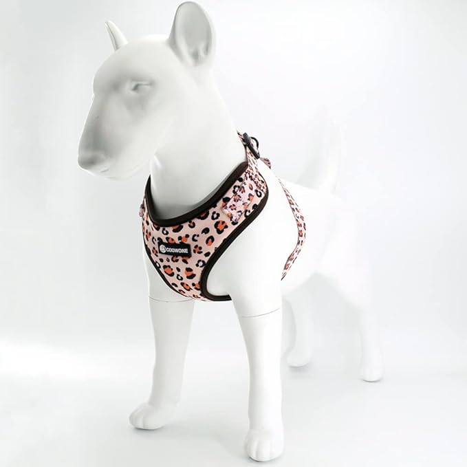 Dog Harness and Leash Set, Adjustable Dog Harness, Dog Leash, No Pull No Choke Puppy Harnesses for Walking Training for Small, Medium, Large Pet