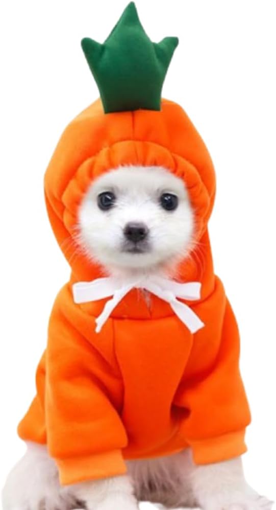ANIAC Funny Pet Clothes for Small Dog Cat Carrot Hoodies Warm Sweatshirt Coat With Fruit Hood Fall Puppy Cat Sweater Halloween Easter Carrot Costume (Orange, X-Small)