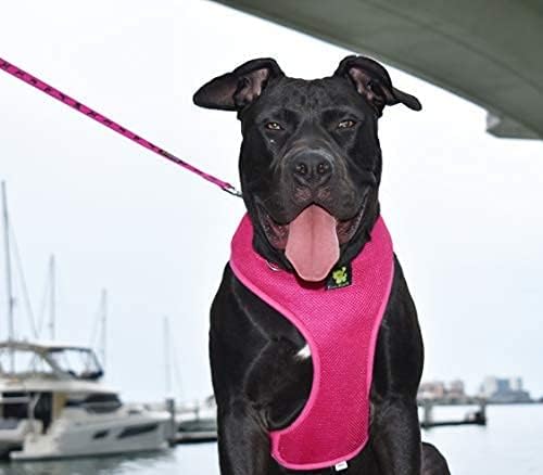 Classic Dog Harness Innovative Mesh No Pull No Choke Design Soft Double Padded Breathable Vest for Eco-Friendly Easy Control Walking for Large Puppies Full Size Breeds & Extra Large Dogs (XXL, Pink)