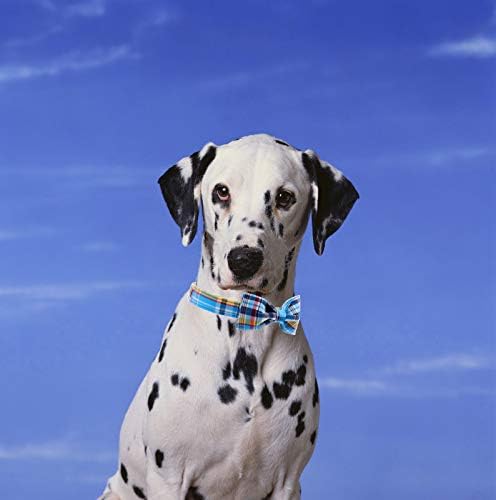 Unique style paws Plaid Dog Collar with Bow Pet Gift Adjustable Soft and Comfy Bowtie Collars for Small Medium Large Dogs