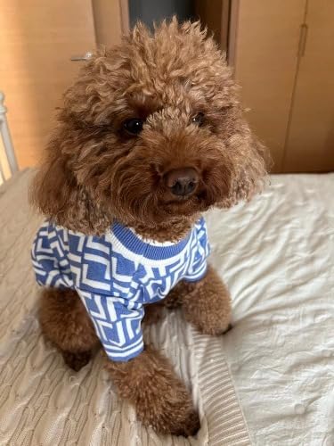 Designer Dog Clothes Sweater Shirt Outfit Small XS Teacup Cute Dogs Puppies French Bulldog Dachshund Chihuahua Cats Maltese Boy Girl (X-Large, Furdiblue)