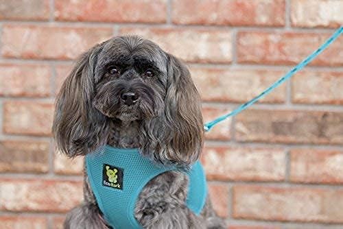 EcoBark Rapid Fastener Super Comfort Fully Adjustable Double Padded Step in Dog Harness (Extra Small, Sky Blue)