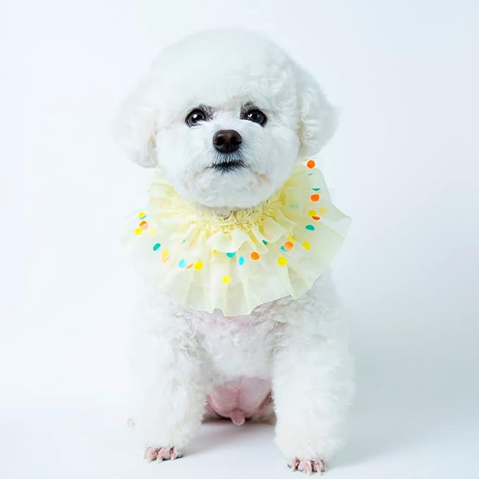 Jelly Bean Cape // pet Scarf, Pet Bib, Dog Bandanas, Round Neck Scarf/pet Accessories for Small, Medium, Large Dogs,Cat (XLarge, Yellow)