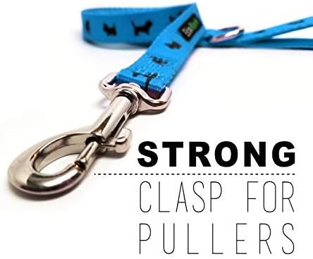 EcoBark Dog Leash - Soft & Reflective Comfort Training Leashes with Padded Handle - Strong Durable Heavy Duty - Training and Pulling for Small, Medium or Large Dogs (Sky Blue)