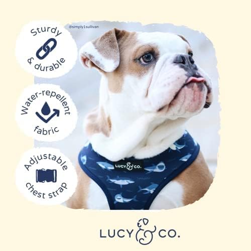 Reversible Dog Harness Walking Halter - Best Designer Pet Harnesses for Extra Small Medium Large XL Dogs Plus Pug Breeds - Padded Adjustable Puppy Vest for Easy Walking (Small, Shark Attack)