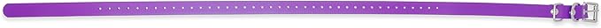 Educator Biothane Dog Collar, Waterproof, Odorproof, Metal Buckle and D Ring, Adjustable for Custom Fit, Cool and Comfortable, for Small, Medium, or Large Dogs, 3/4-Inch, Purple