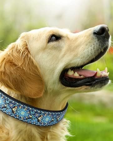 Dog Collars for Small Medium & Large Dogs Durable, Long Lasting, Adjustable, Heavy Duty Collars for Girl and Boy Puppy with Quick-Release Plastic Buckle.