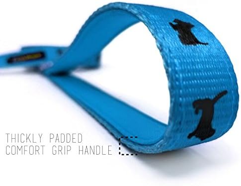 EcoBark Dog Leash - Soft & Reflective Comfort Training Leashes with Padded Handle - Strong Durable Heavy Duty - Training and Pulling for Small, Medium or Large Dogs (Sky Blue)