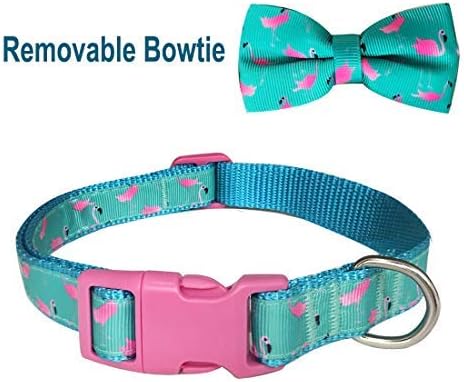 azuza Bowtie Dog Collar, Soft & Comfy Dog Collar with Bow, Fun Patterns & Bright Color for Small Dogs