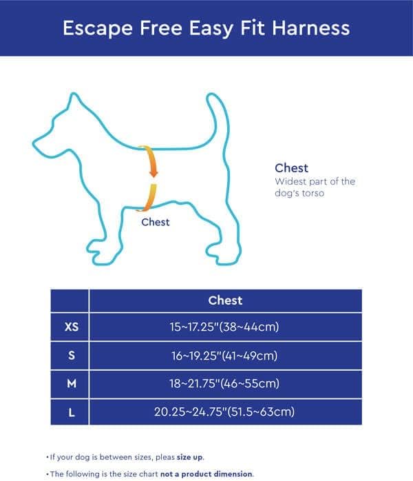 Gooby Escape Free Easy Fit Harness - Blue, Small - No Pull Step-in Patented Small Dog Harness with Quick Release Buckle - Perfect On The Go No Pull Harness for Small Dogs or Medium Dog Harness