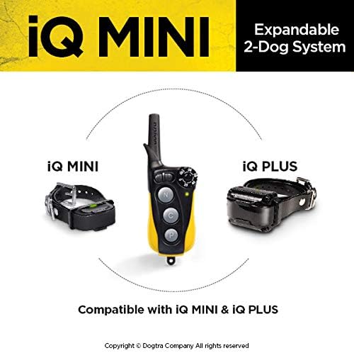 Dogtra IQ Mini Small Dog Remote Training System - 400 Yard Range Collar, Rechargeable Remote Trainer, Waterproof, Static, Vibration Pager Training with PetsTEK Dog Training Clicker