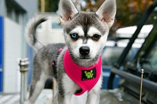 EcoBark Dog Harness - Eco-Friendly Max Comfort Harnesses - Luxurious Soft Mesh Halter - Over The Head Harness Vest- No Pull and No Choke for Small, Toy Breed, and Teacup Dogs (XS, Fuchsia Pink)