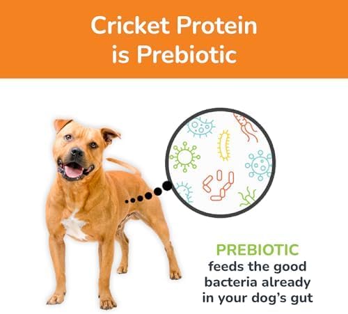 Jiminy's Chewy Cricket Training Treats for Dogs, Low Calorie, Hypoallergenic, Made in USA, 6oz, Pumpkin & Carrot (Pack of 1)