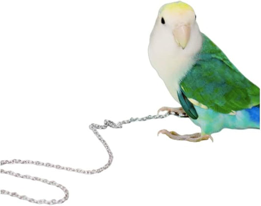 Bird Foot Chain Flying Stainless Steel Training Rope Outdoor Parrot Ankle Foot Ring Accessories Bird Harness Leash Prevent Escaping (4#)