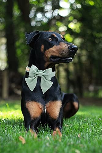 Unique style paws Silk Green Color Dog Collar Adjustable Durable Dog Collar with Bow Wedding Bowtie Collar for Large Dogs