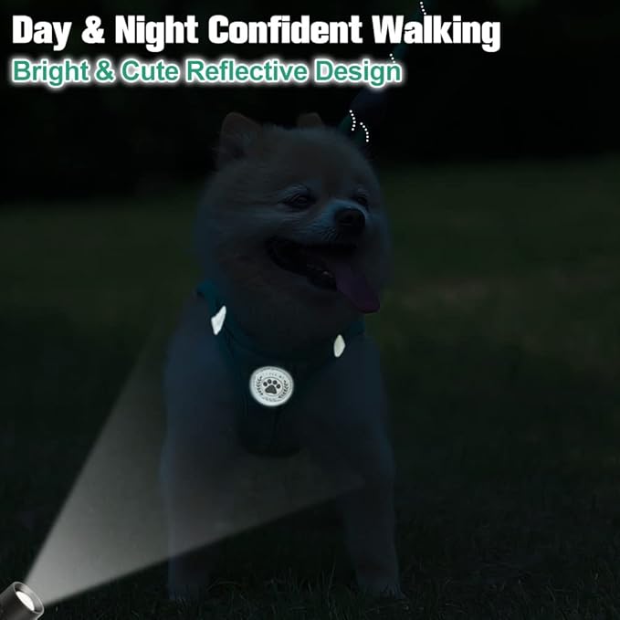 BEAUTYZOO Small Dog Harness and Leash Set,Step in No Choke No Pull Soft Mesh Dog Harnesses Reflective for Extra-Small Medium Puppy Dogs and Cats, Plaid Dog Vest Harness for XS S Pets, Teal XS