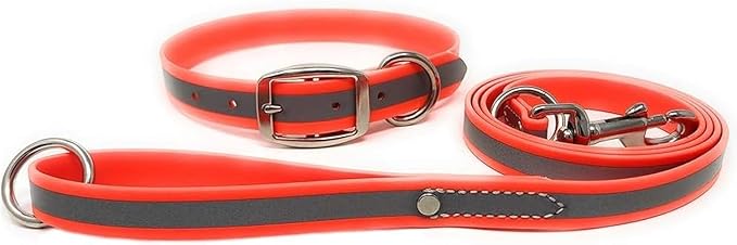 Regal Dog Products Small Orange Reflective Dog Collar and Leash Set - Waterproof Biothane Dog Collar with Heavy Duty Double Buckle, D Ring & 5ft Leash - Other Size for Medium & Large Dogs