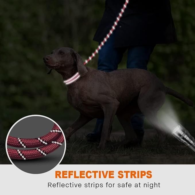 Taglory Rope Dog Leash 5 FT with Comfortable Padded Handle, Highly Reflective Threads Leash for Medium Large Dogs, 1/2 inch, Pink