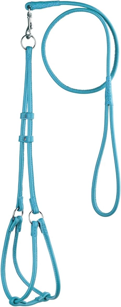 Dogline Soft and Padded Round Rolled Leather Step-in Harness with Leash, Teal