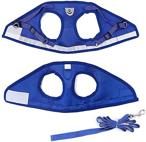 FEimaX Dog Harness and Leash Set for Walking, Soft Mesh Adjustable Easy Control Lightweight Cat Vest Harnesses with Reflective Strips, Escape Proof Small Dogs Cats Vests (Blue, X-Small)