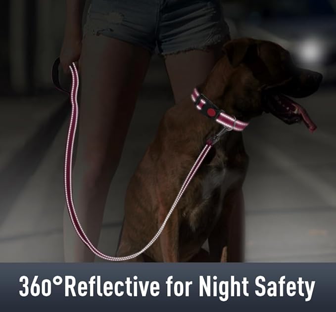 Airtag Dog Collar with AirTag Holder for Small Dogs, Reflective, Soft Padded & Safety Locking Buckle, Nylon Pet Collars Adjustable for All Breeds, Hotpink,S