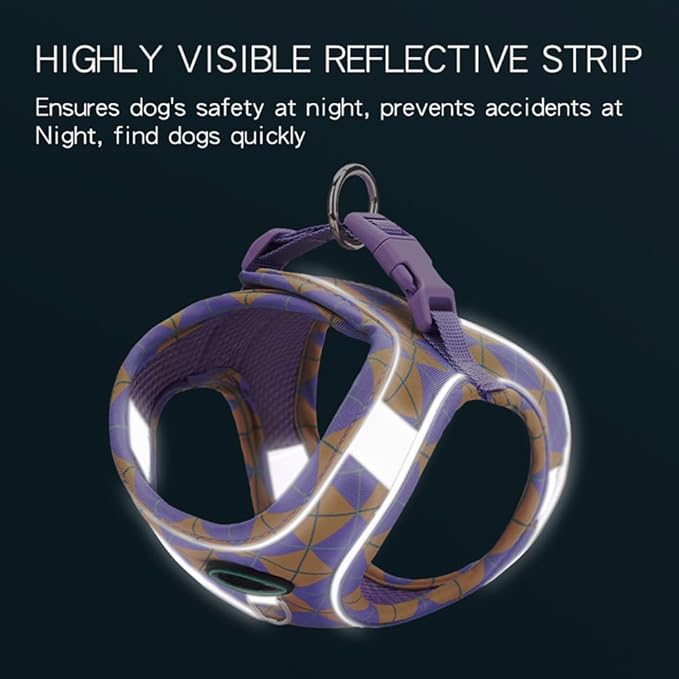 Step in Dog Harness and Leash Set, Plaid Adjustable Easy Walk Puppy Harnesses, Soft Mesh Pet Vest Harness Small Size Dog Adjustable No Pull Dog Harness for Small Medium Dogs(Blue Pink, XS)