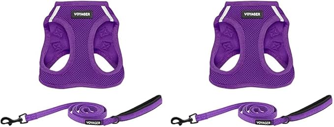Voyager Step-in Air All Weather Mesh Harness and Reflective Dog 5 ft Leash Combo with Neoprene Handle, for Small, Medium and Large Breed Puppies and Cats by Best Pet Supplies - Purple, XXXS