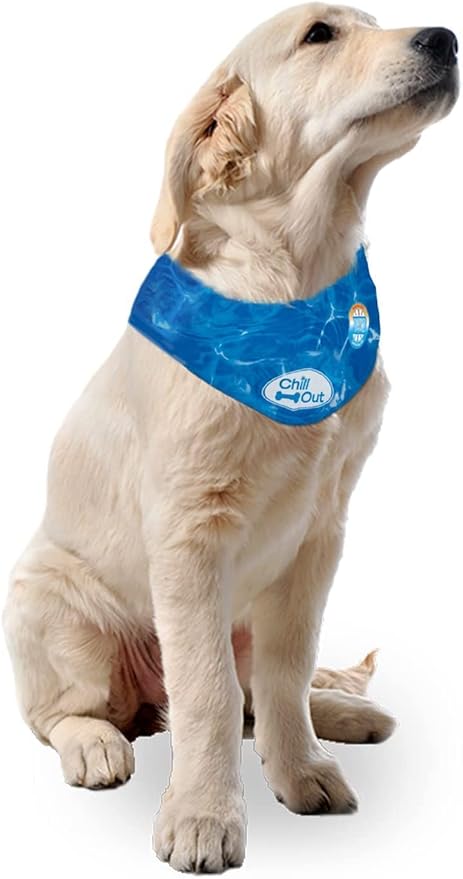 ALL FOR PAWS Chill Out Ice Bandana, Large