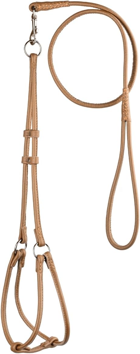 Dogline Soft Round/Rolled Genuine Leather Step-In Harness with 15 to 20-Inch Chest and 36-Feet Leash, Brown