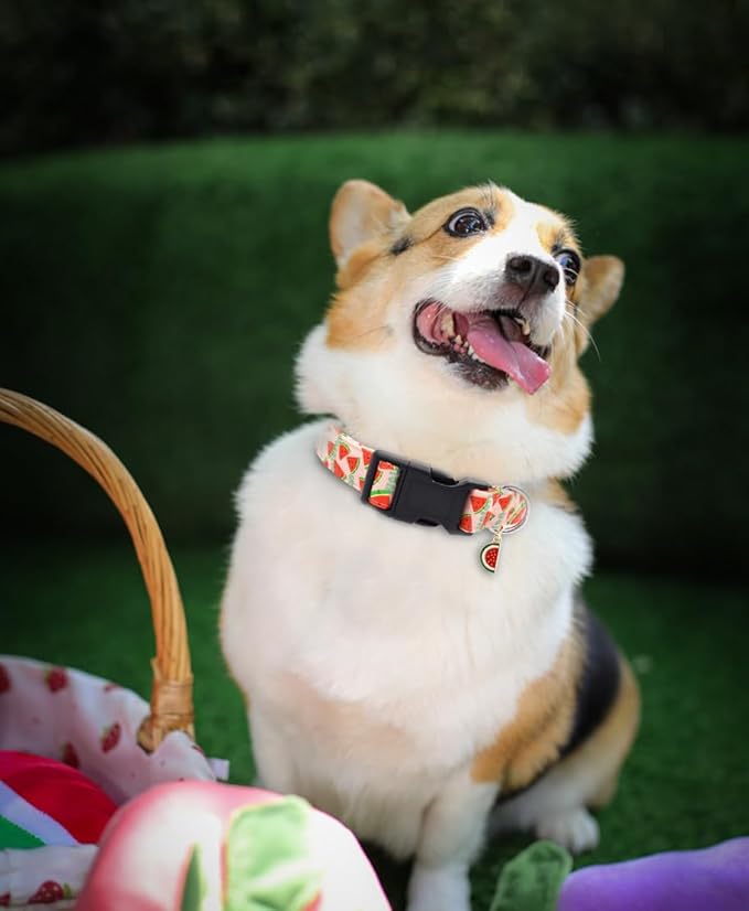 Bubblepup Dog Collar, Adjustable Dog Collar for Small Medium Large Dogs with Soft Cotton & Quick-Release Buckle