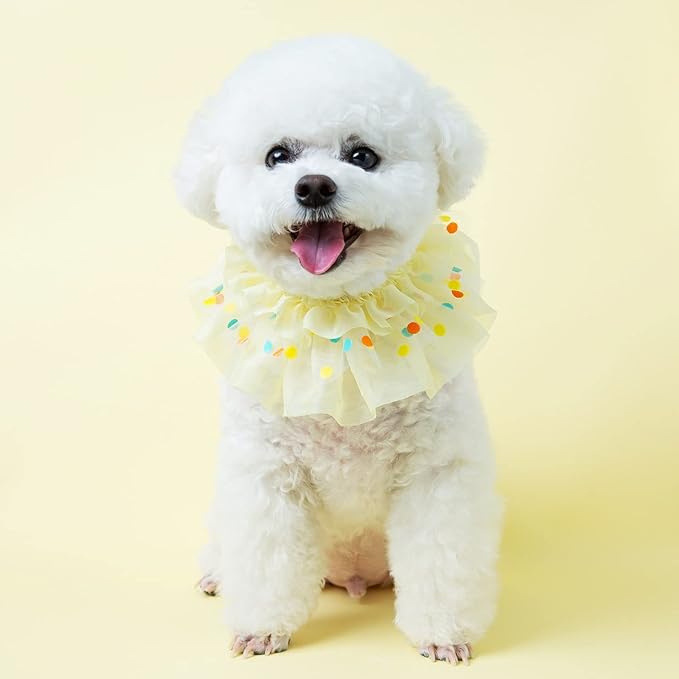 Jelly Bean Cape // pet Scarf, Pet Bib, Dog Bandanas, Round Neck Scarf/pet Accessories for Small, Medium, Large Dogs,Cat (Large, Yellow)