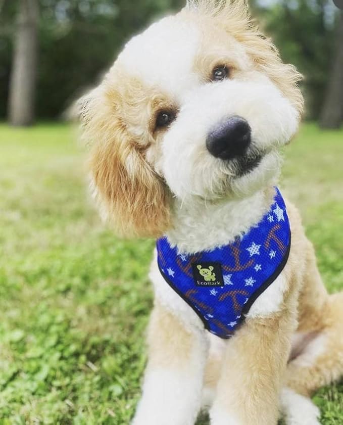 EcoBark Dog Harness - Eco-Friendly Max Comfort Harnesses - Luxurious Soft Mesh Halter - Over The Head Harness Vest- No Pull and No Choke for Puppy, Toy Breeds & Small Dogs (Medium, Nautical)