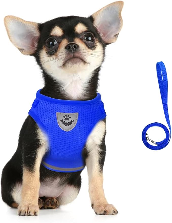 FEimaX Dog Harness and Leash Set for Walking, Soft Mesh Adjustable Easy Control Lightweight Cat Vest Harnesses with Reflective Strips, Escape Proof Small Dogs Cats Vests (Blue, X-Small)
