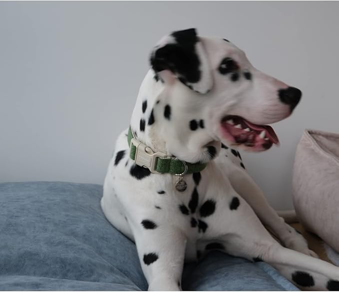 DOGWONG Cotton Hemp Dog Collar, Heavy-Duty Adjustable Soft Natural Fabric Pet Collar for Small to Large Dogs