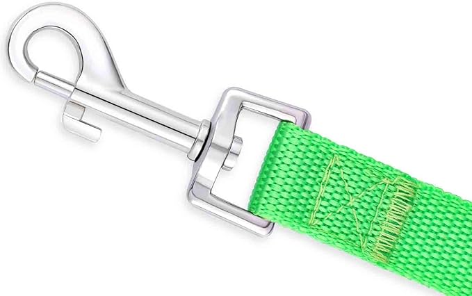 AMAGOOD 6 FT Puppy/Dog Leash, Strong and Durable Traditional Style Leash with Easy to Use Collar Hook,Dog Lead Great for Small and Medium and Large Dog (3/4 in x 6 ft(Pack of 1), Green)