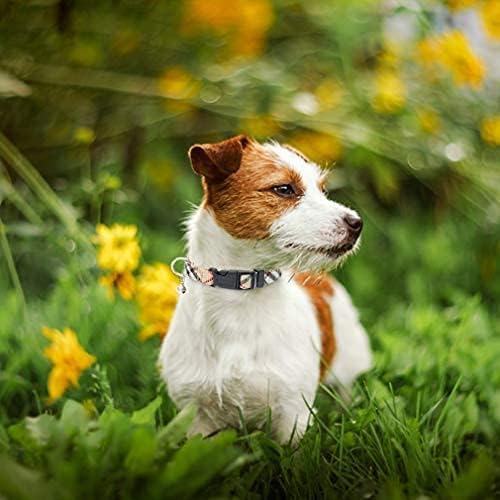 PUPTECK Adjustable Dog Harness Collar and Leash Set Step in No Pull Pet Harness for Small Medium Dogs Puppy and Cats Outdoor Walking Running, Soft Mesh Padded Reflective Vest Harnesses, Beige L