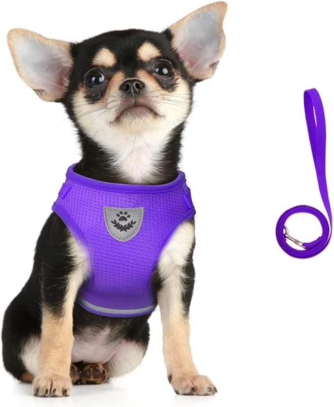 FEimaX Dog Harness and Leash Set for Walking, Soft Mesh Adjustable Easy Control Lightweight Cat Vest Harnesses with Reflective Strips, Escape Proof Small Dogs Cats Vests