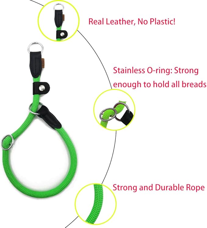 Braided Round Martingale Dog Collar, Training Collar with Slidable Stop Ring and Adjustable Stopper - Ideal for Small Dogs (S(1/4") - 14" Long, Light Green)