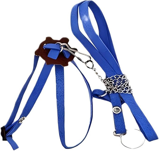 Tortoise Leash， Adjustable Control Rope Turtle Leash and Harness Pet Walking Rope for Small Medium and Large Turtle Pets Outdoor Walking Training Supplies，Blue S