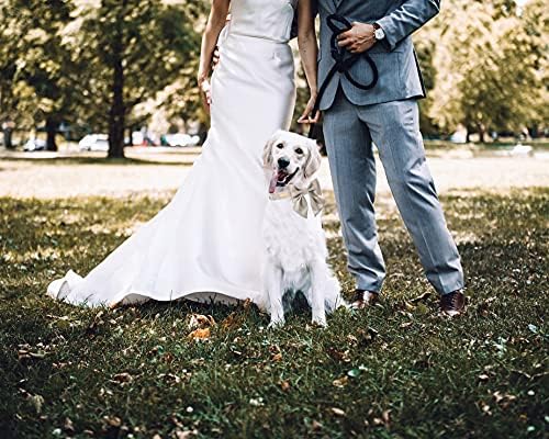 Unique Style Paws Silk Champagne Color Adjustable Durable Dog Collar with Bow Wedding Bow Tie for Small Puppy and Cats