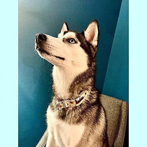 Elegant little tail Sunflower Girl Dog Collar for Female Dogs, Pet Collar Adjustable Dog Collars with Flower Gift for Large Dogs