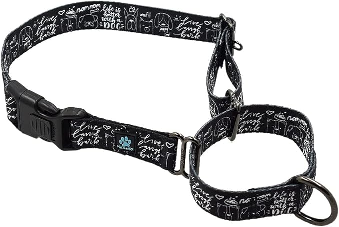 Max and Neo Patterned Martingale Dog Collar - We Donate a Collar to a Dog Rescue for Every Collar Sold (Large, Life is Better with Dogs)
