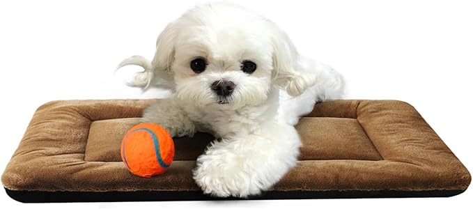 Extra Small Dog Bed & Pad for Metal Crates, Ultra Soft Washable & Anti-Slip Kennel Mat, Cozy Sleeping Mat, Brown 22inch