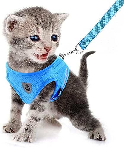 FEimaX Dog Harness and Leash Set for Walking, Soft Mesh Adjustable Easy Control Lightweight Cat Vest Harnesses with Reflective Strips, Escape Proof Small Dogs Cats Vests (Azure, Small)