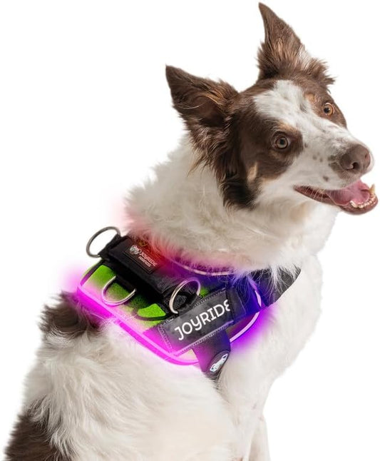 Joyride Harness LED Light Up Dog Harness 2.0 - Patent Pending Design, 3 LED Modes, Vibrant Rechargeable Lighting, Customizable Name Tag Area, and Convenient On/Off Button for Enhanced Pet Safety