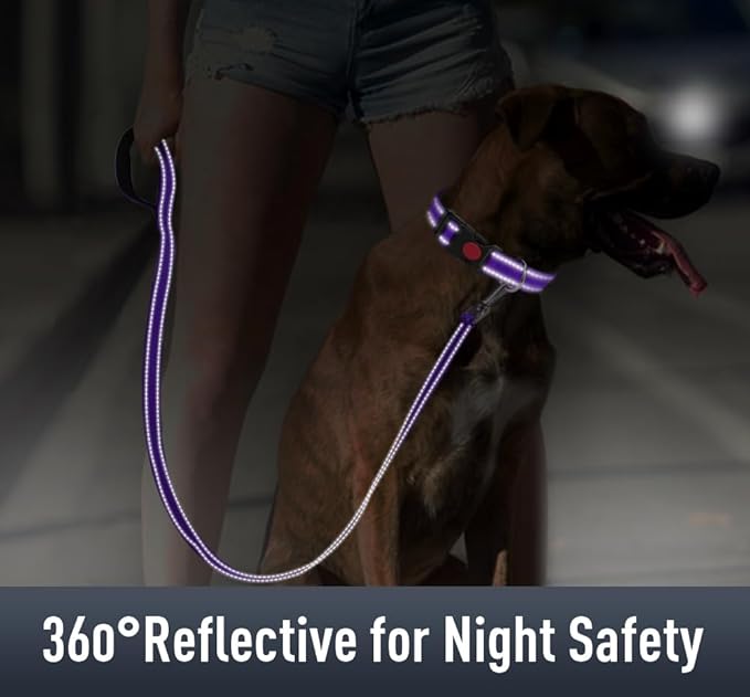 Airtag Dog Collar with AirTag Holder for Puppy Small Dogs, Reflective, Soft Padded & Safety Locking Buckle, Nylon Pet Collars Adjustable for All Breeds, Purple,XS