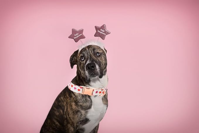 Lionet Paws Valentine Dog Collar, Heavy-Duty Cute Pink Heart Pattern Collar with Metal Buckle Pet for Medium Large Dogs, Neck 16-24 inches