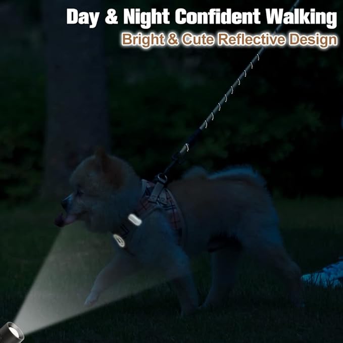 BEAUTYZOO Small Dog Harness and Leash Set,Step in No Choke No Pull Soft Mesh Dog Harnesses Reflective for Extra-Small Medium Puppy Dogs and Cats, Plaid Dog Vest Harness for XS S Pets, Beige XS